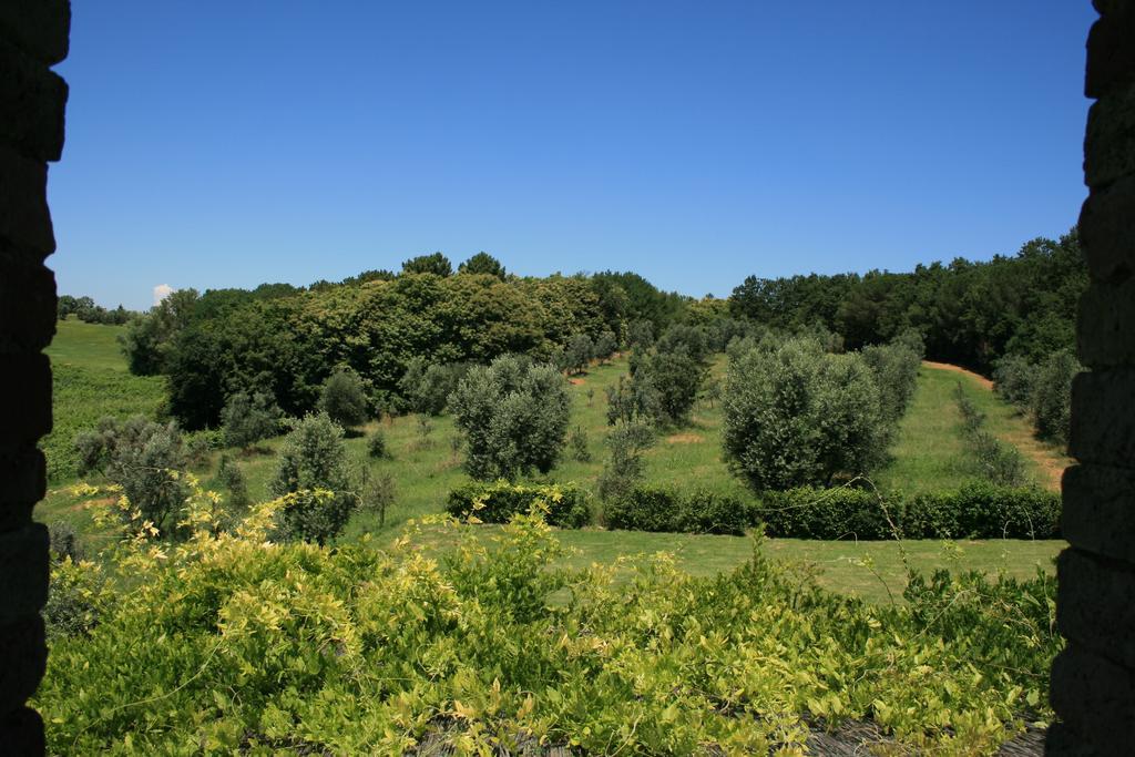 Tenuta Di Monaciano Ponte A Bozzone Chambre photo